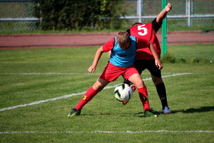 开云体育在线-NBA联盟反兴奋剂政策执行效果评估,美国反兴奋剂法案 第2张 开云体育在线-NBA联盟反兴奋剂政策执行效果评估,美国反兴奋剂法案 第2张