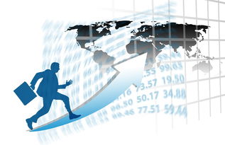 开云官方网-中国篮球职业俱乐部财务管理与运营效益分析，篮球俱乐部收入