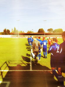 开运体育电脑版-德国队如何在新赛制下争夺国际乒联混合团体世界杯冠军，德国队乒乓